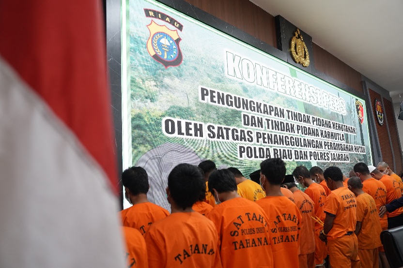 Polda Riau Sikat Perambah Hutan Seluas 143 Hektare di Rohul, Pemodal dan Korlapnya Diringkus!