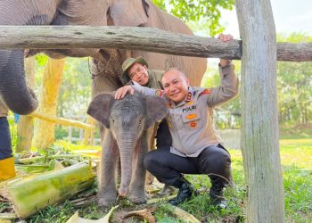 Kapolda Riau Irjen. Herry Heryawan dan seekor anak gajah yang diberi nama Nona Seroja.