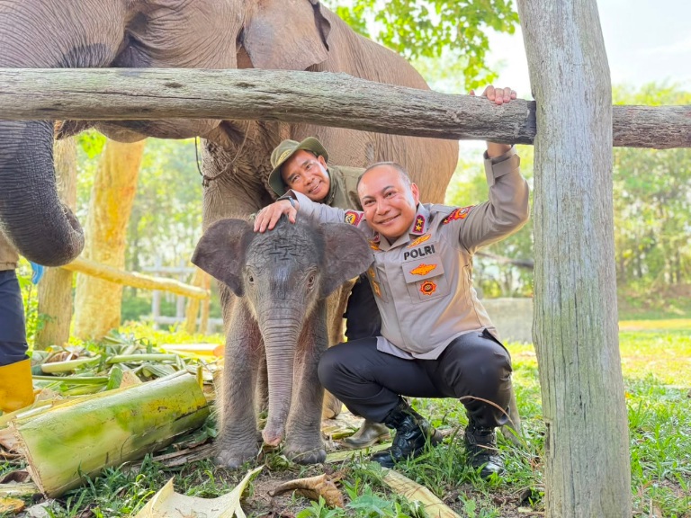 Kapolda Riau Irjen. Herry Heryawan dan seekor anak gajah yang diberi nama Nona Seroja.