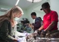 Petugas Dinas Pangan dan Pertanian, saat melakukan vaksinasi rabies seekor anak anjing di klinik hewan.