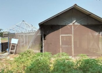 Kondisi greenhouse tempat budidaya melon, Desa Singkalan, Kecamatan Balongbendo